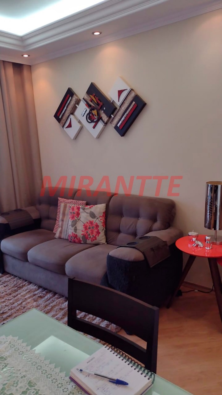 Apartamento de 55m² com 3 quartos em Vila Amelia