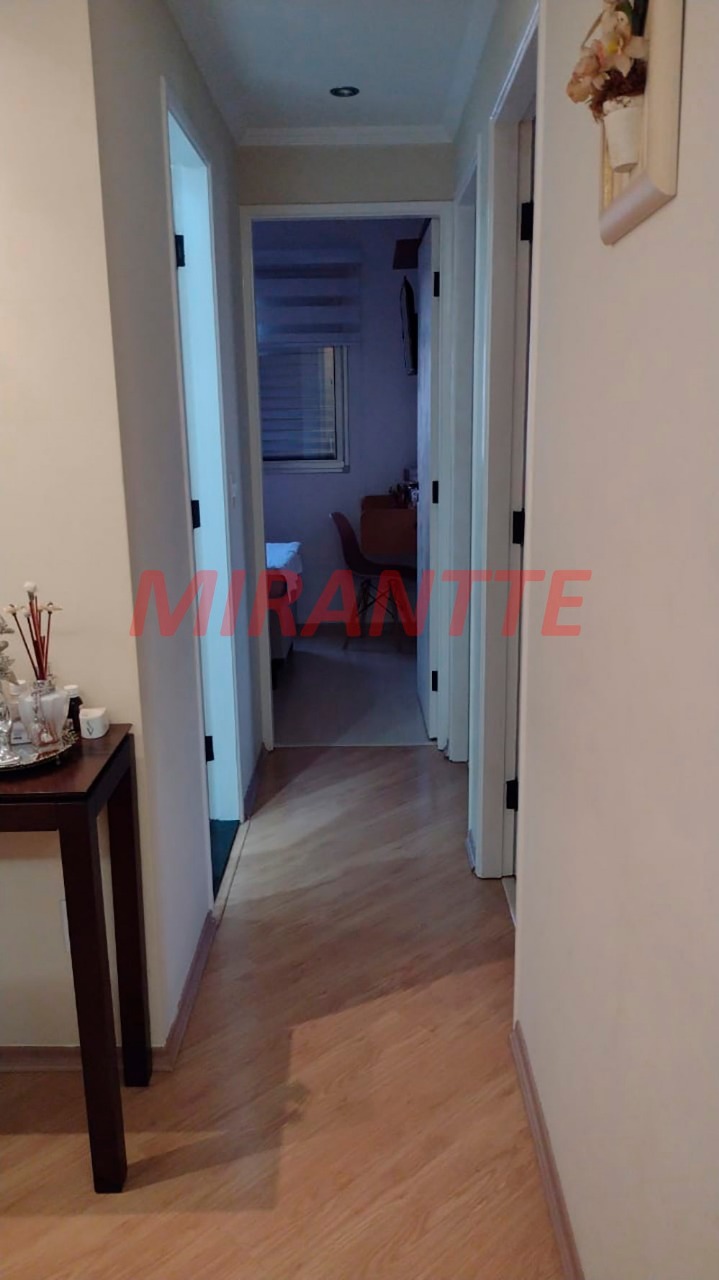 Apartamento de 55m² com 3 quartos em Vila Amelia