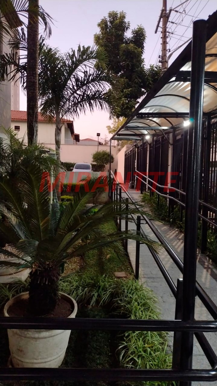 Apartamento de 55m² com 3 quartos em Vila Amelia