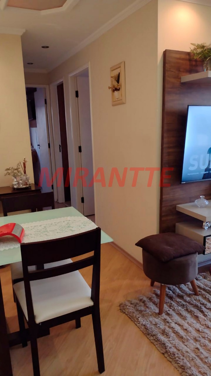 Apartamento de 55m² com 3 quartos em Vila Amelia