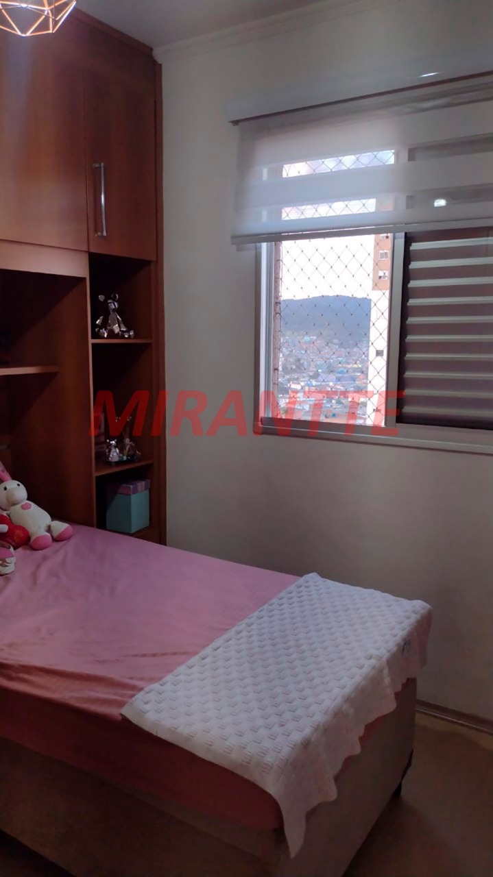 Apartamento de 55m² com 3 quartos em Vila Amelia