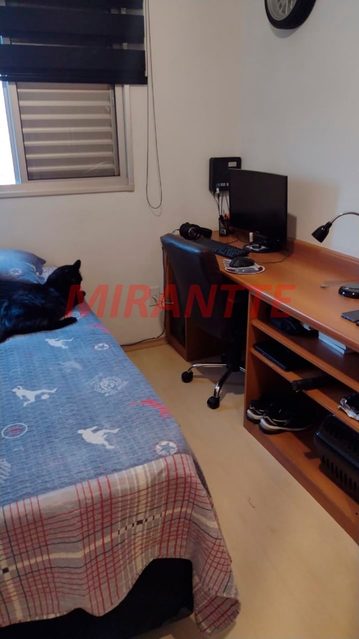 Apartamento de 55m² com 3 quartos em Vila Amelia
