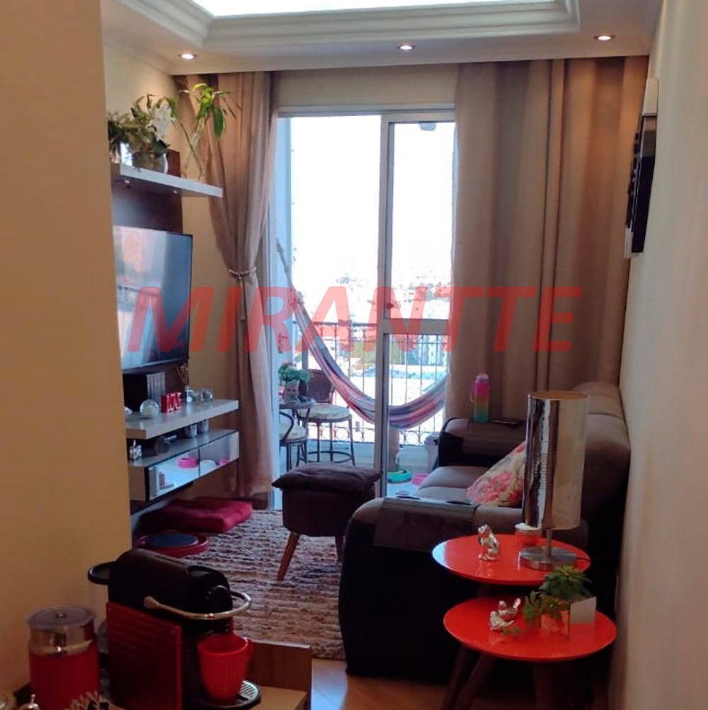 Apartamento de 55m² com 3 quartos em Vila Amelia