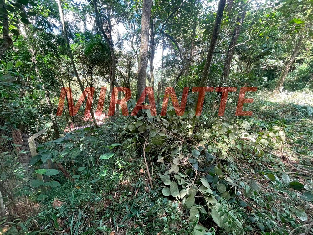 Terreno de 0m² em PARQUE PETROPOLIS