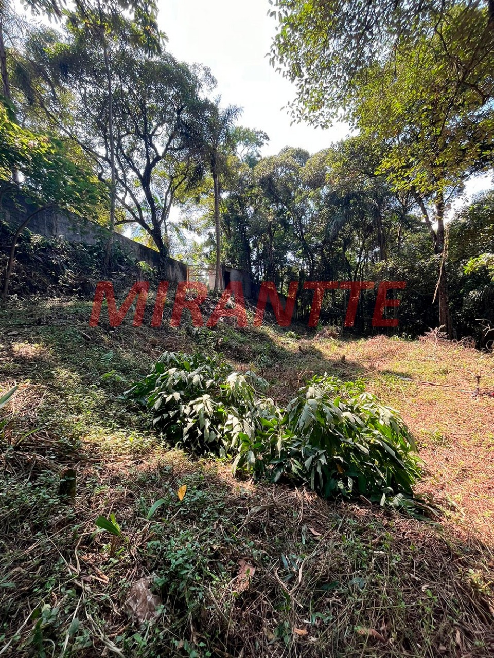 Terreno de 0m² em PARQUE PETROPOLIS