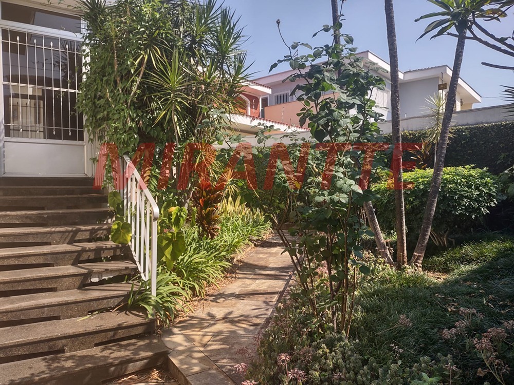 Casa terrea de 225m² com 3 quartos em Tucuruvi