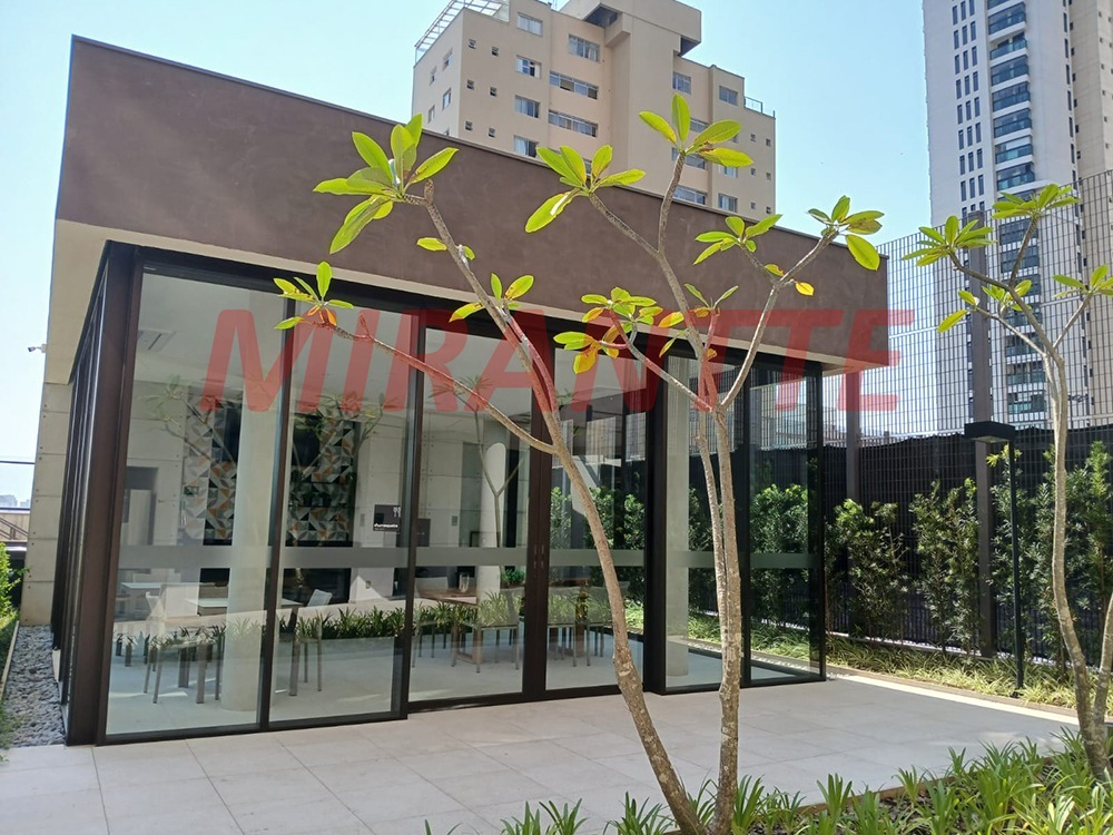Apartamento de 219.6m² com 4 quartos em Alto da Lapa