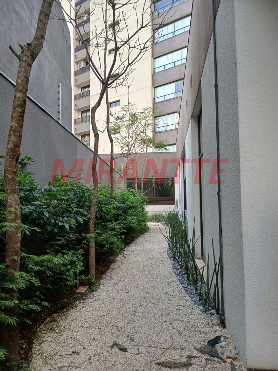 Apartamento de 219.6m² com 4 quartos em Alto da Lapa