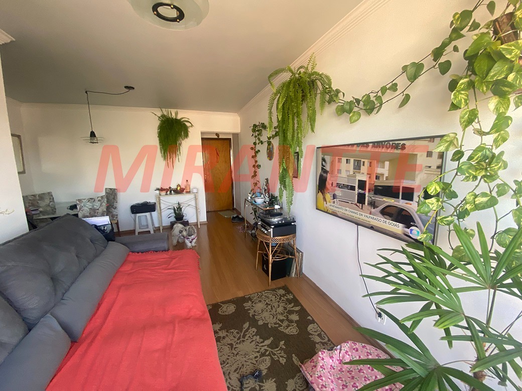 Apartamento de 72m² com 3 quartos em Vila Nova Cachoeirinha