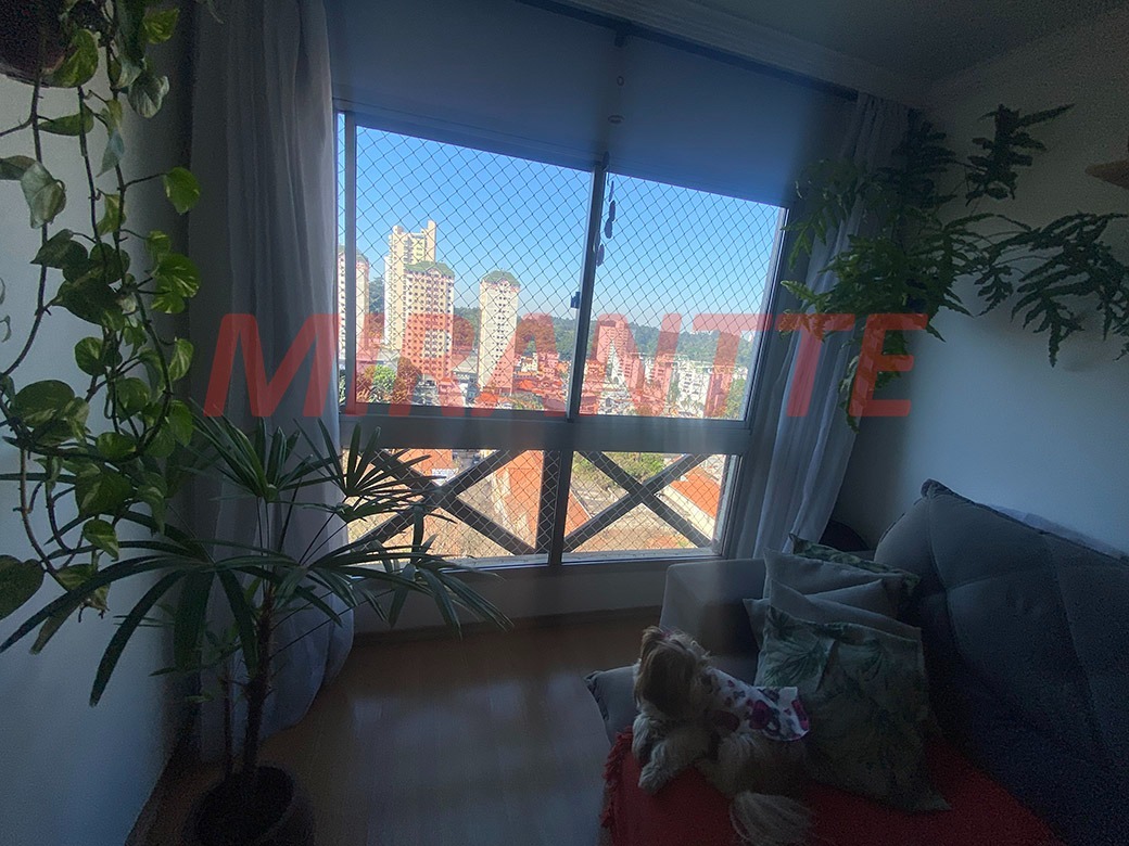 Apartamento de 72m² com 3 quartos em Vila Nova Cachoeirinha