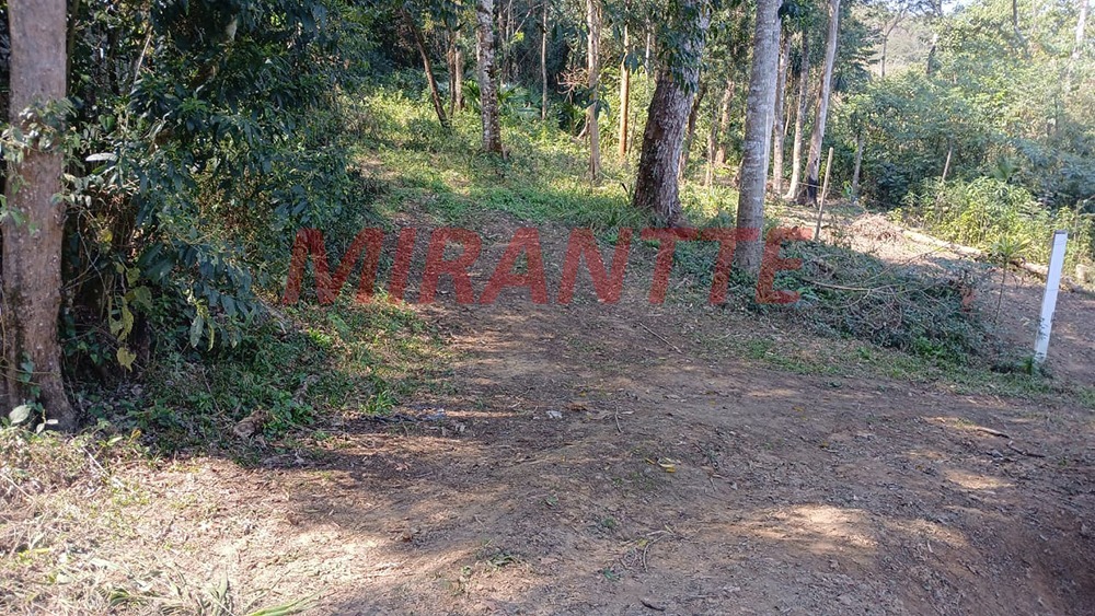 Terreno de 0m² em Santa Inês