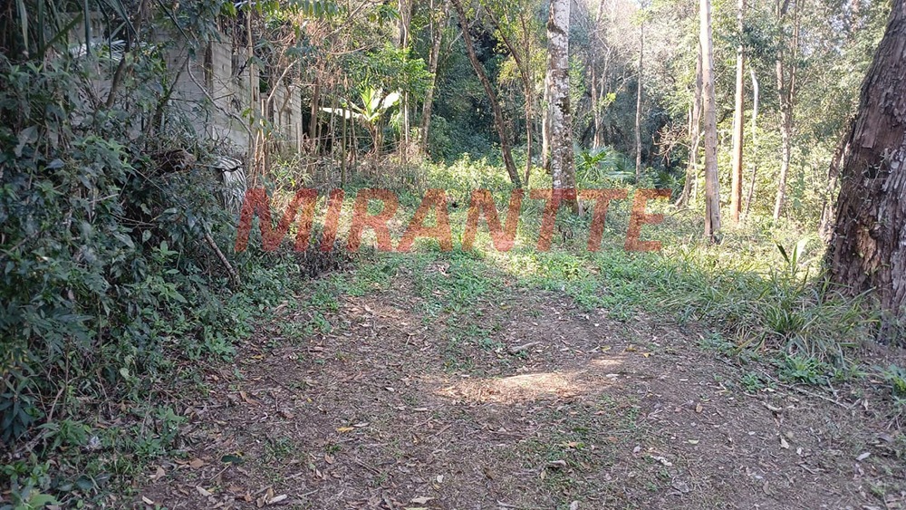 Terreno de 0m² em Santa Inês