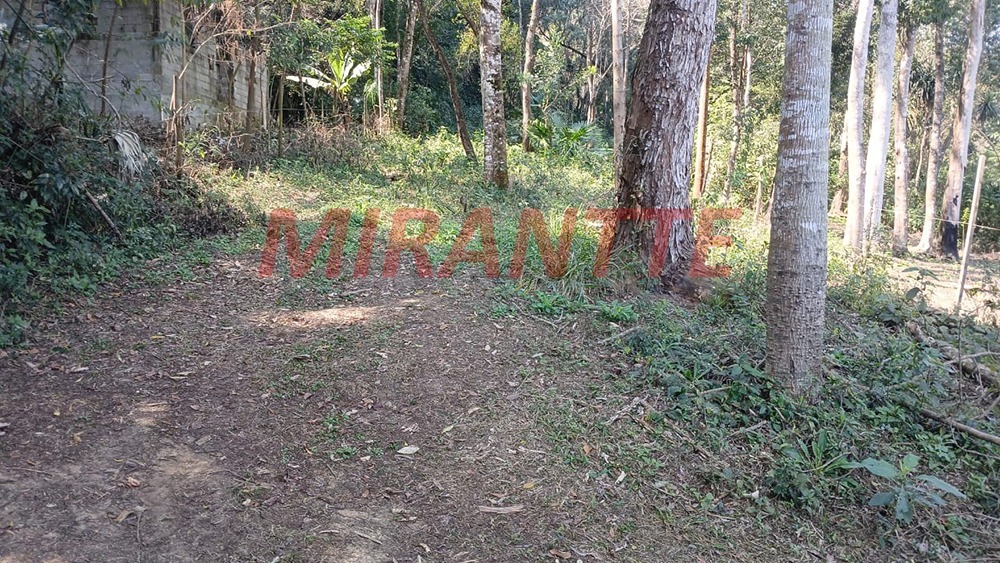 Terreno de 0m² em Santa Inês