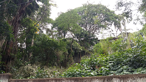 Terreno de 338m² em Barro Branco