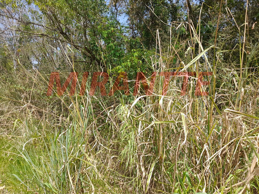 Terreno de 1400m² em Serra da Cantareira