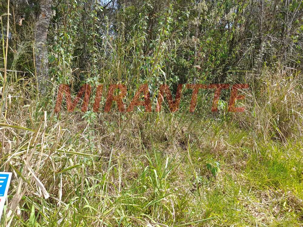 Terreno de 1560m² em Serra da Cantareira