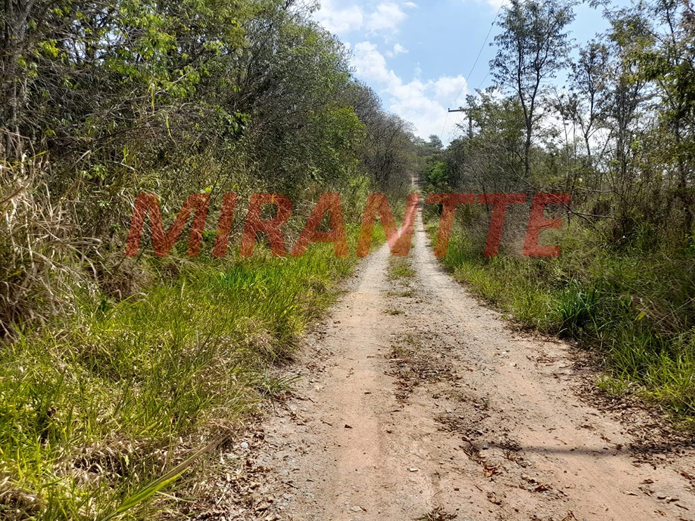 Terreno de 1560m² em Serra da Cantareira