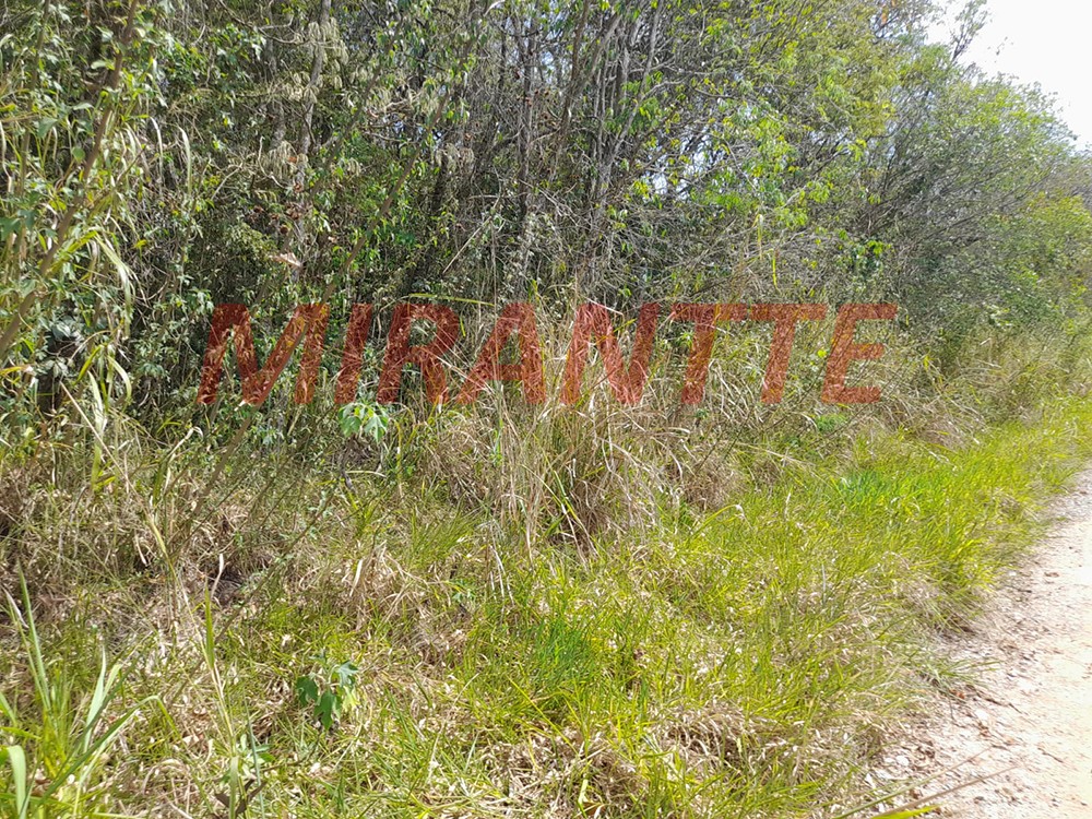 Terreno de 1560m² em Serra da Cantareira