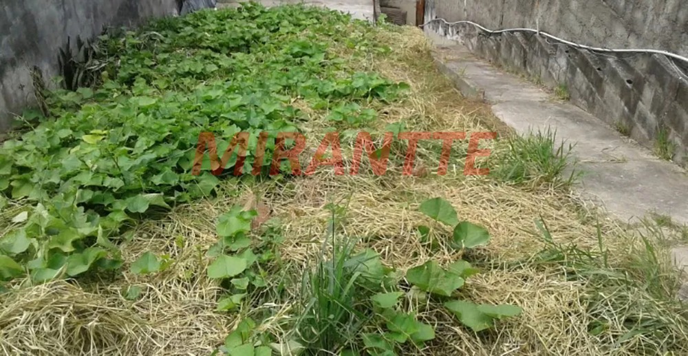 Terreno de 204m² em Vila Nova Mazzei