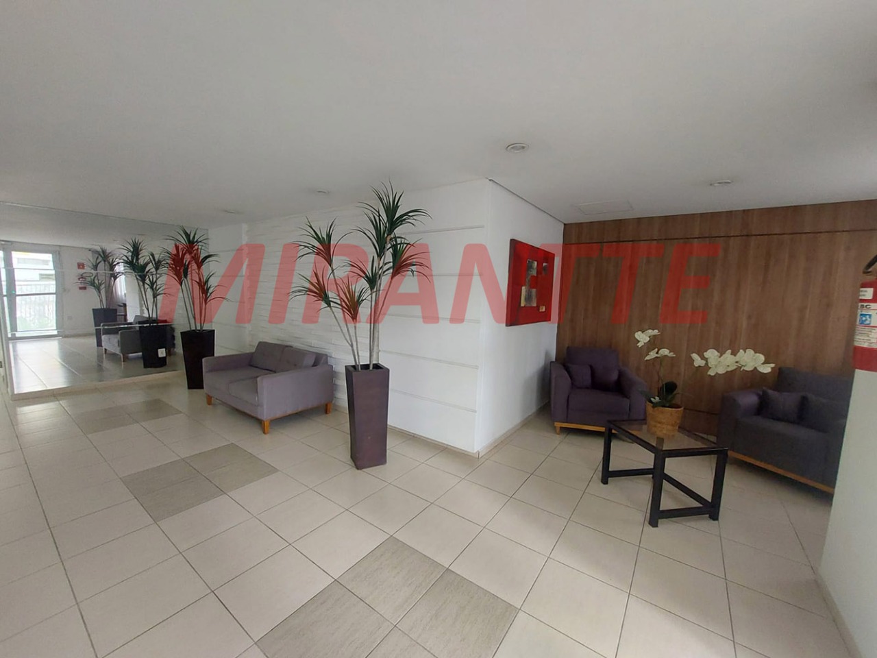 Apartamento de 78m² com 3 quartos em Vila Guilherme