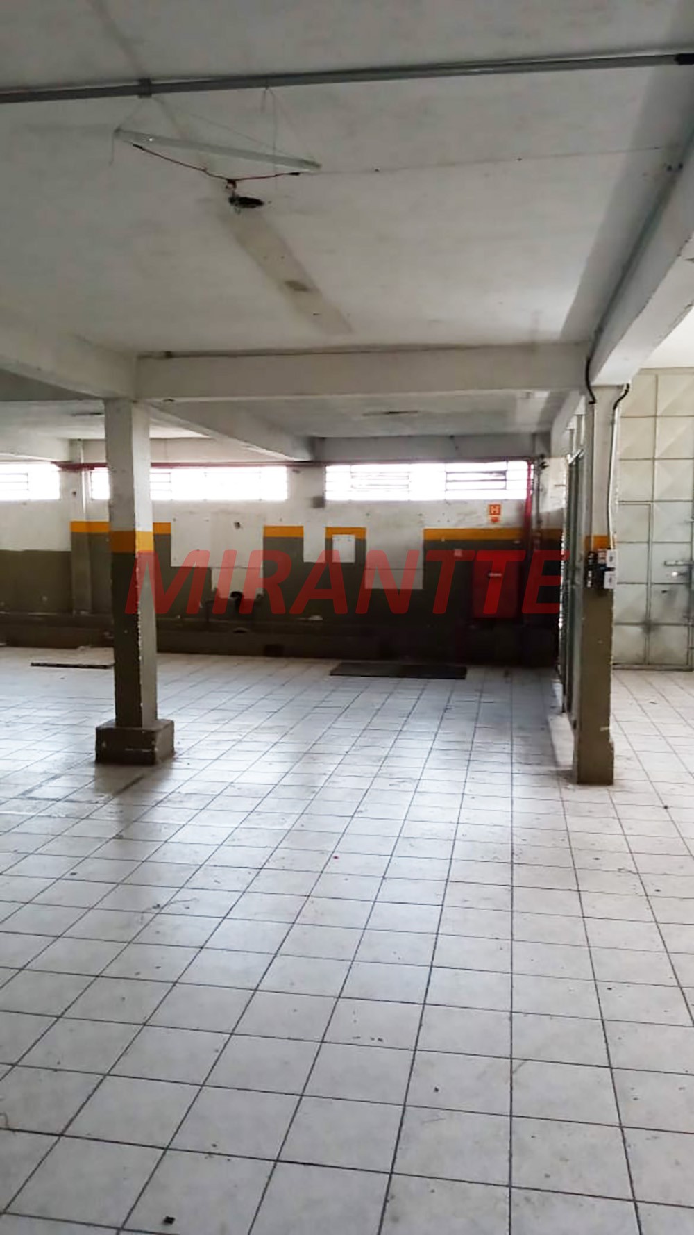 Galpao em Limão