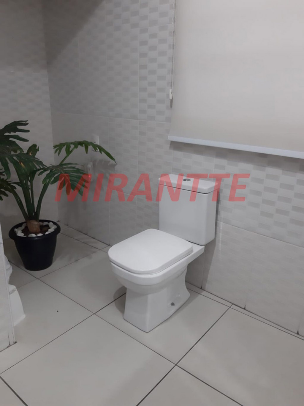 Casa terrea de 300m² com 5 quartos em Limão