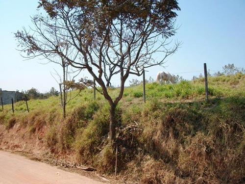 Terreno de 10500m² em Serra Da Cantareira