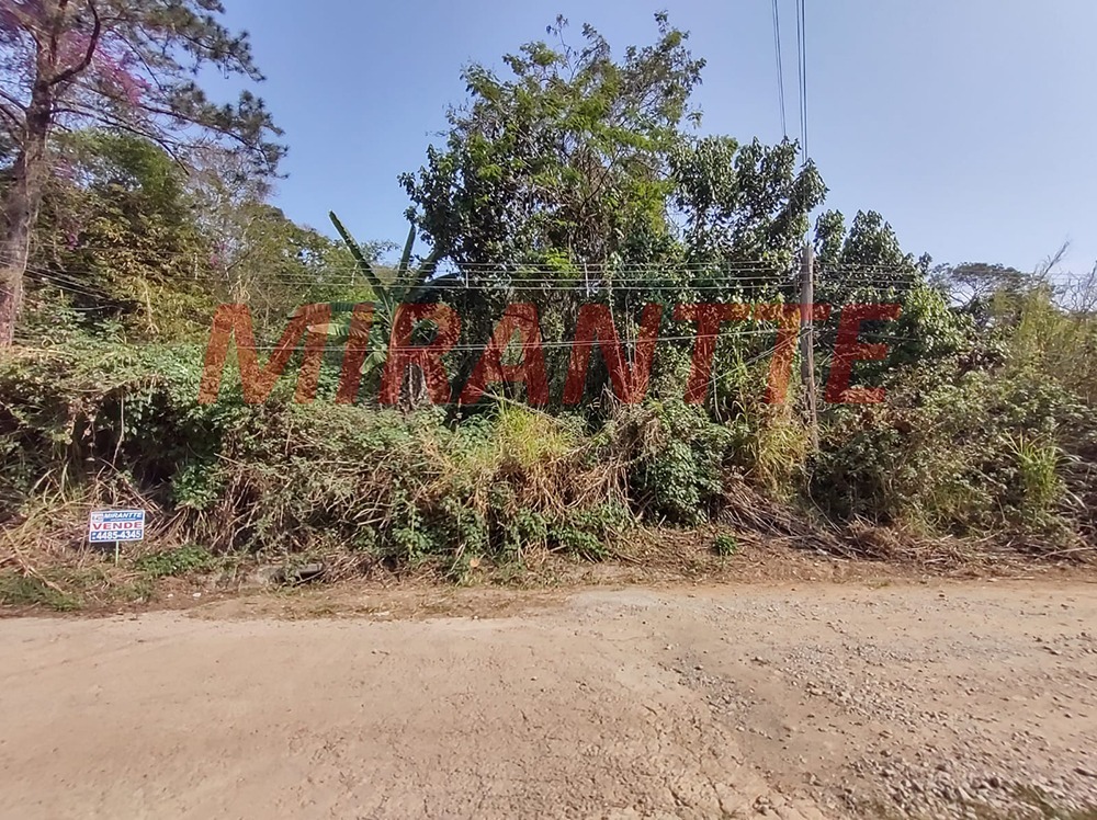 Terreno de 0m² em Roseira