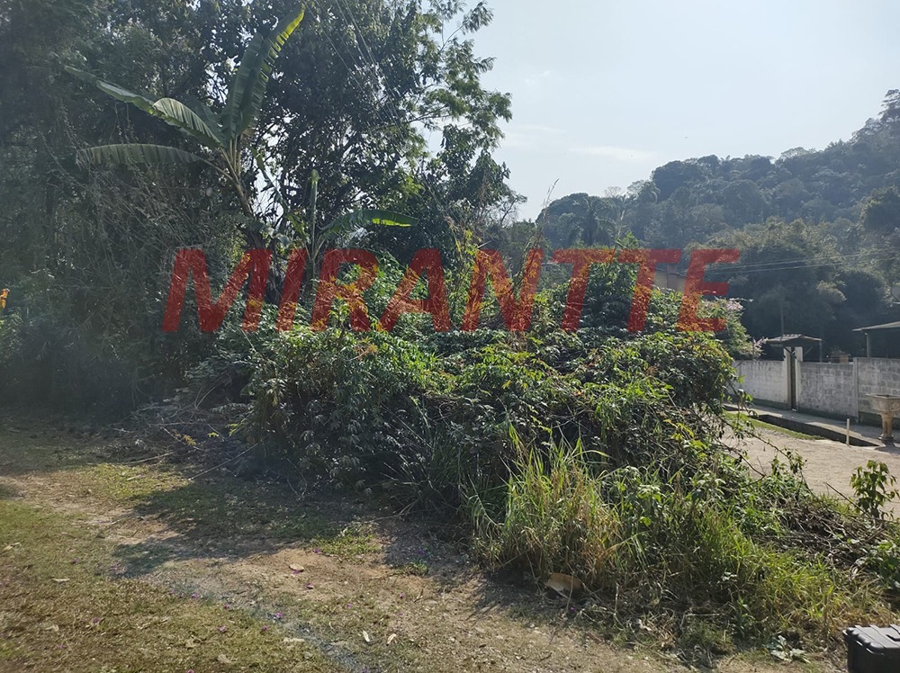 Terreno de 0m² em Roseira