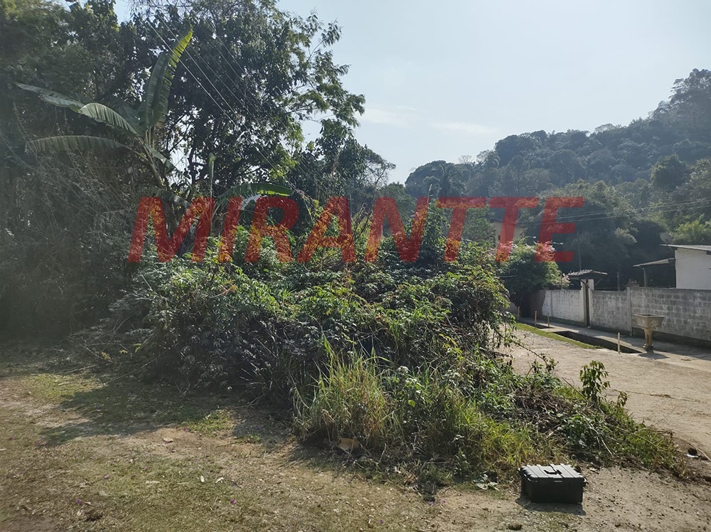 Terreno de 0m² em Roseira