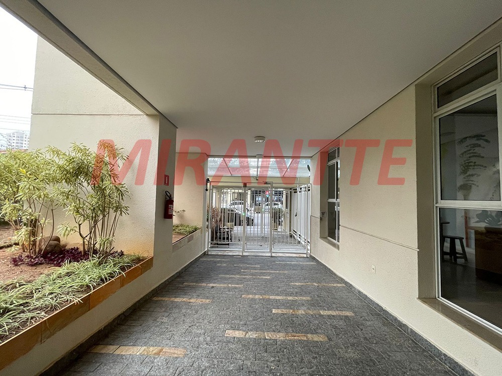 Apartamento de 105m² com 3 quartos em Lauzane Paulista