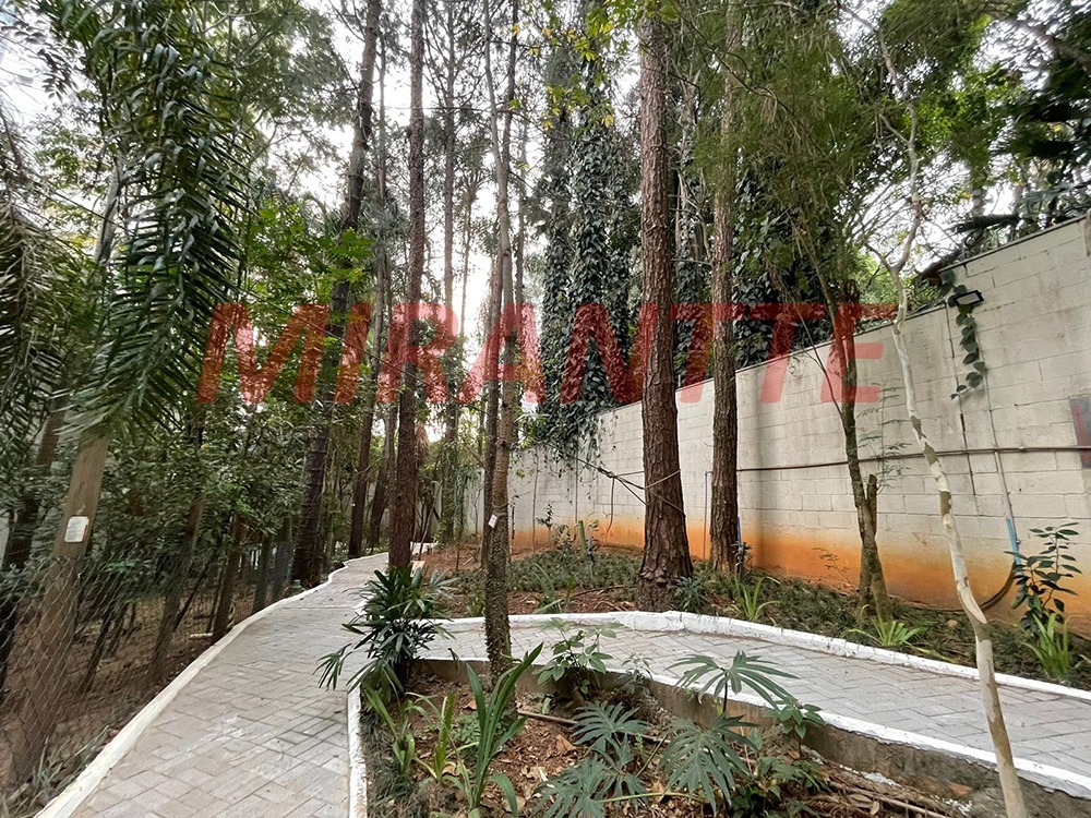 Apartamento de 105m² com 3 quartos em Lauzane Paulista