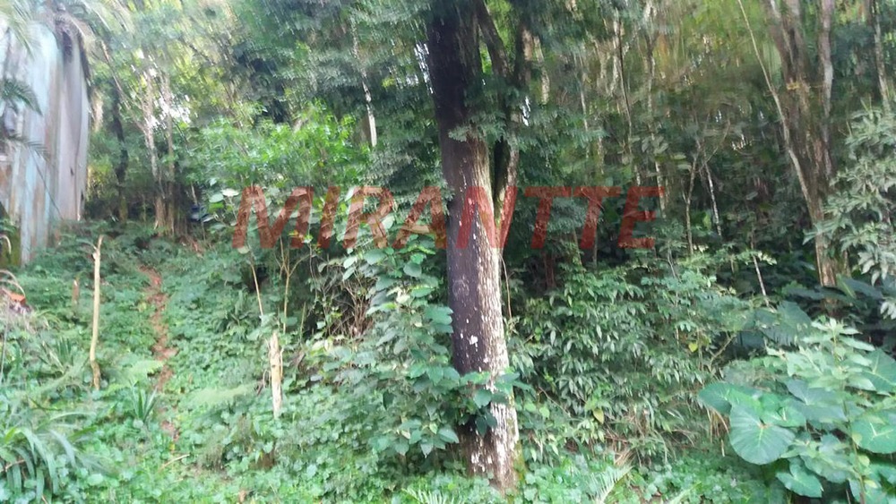 Casa terrea de 60m² com 1 quartos em Samambaia