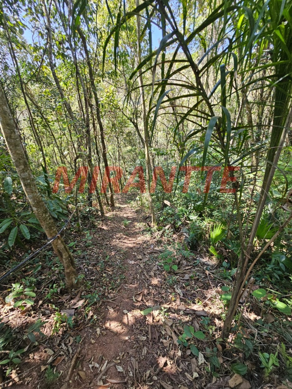 Chácara de 461m² com 4 quartos em Santa Inês