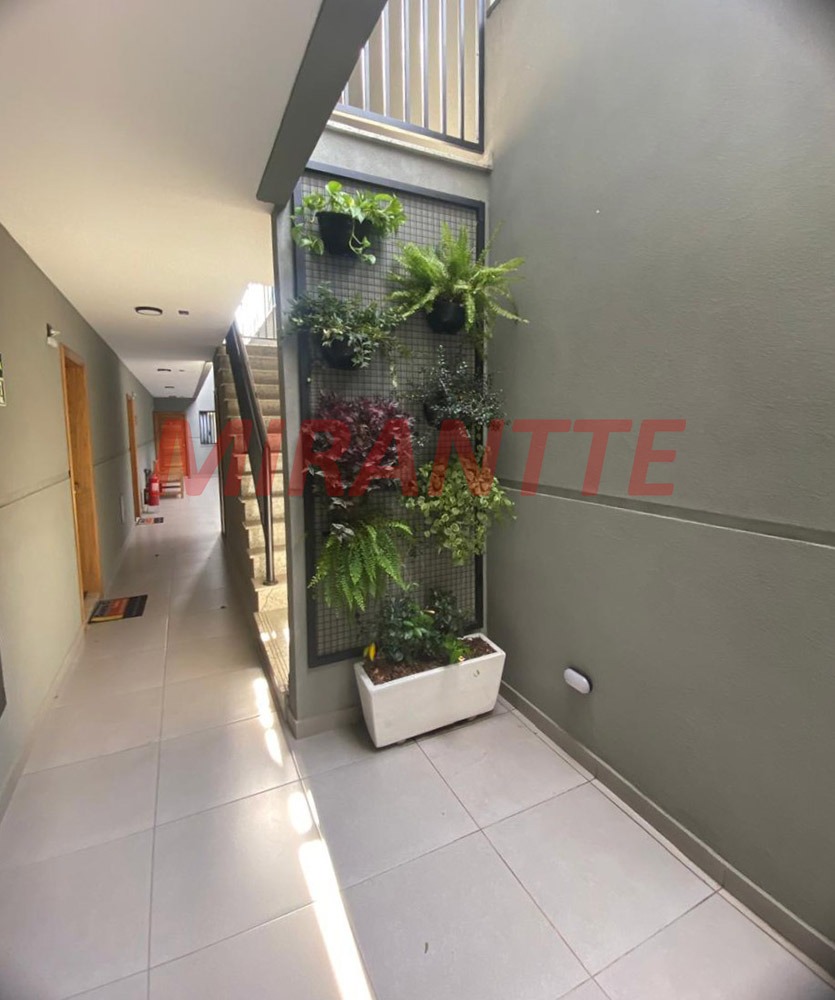 Apartamento de 30m² com 1 quartos em Água Fria
