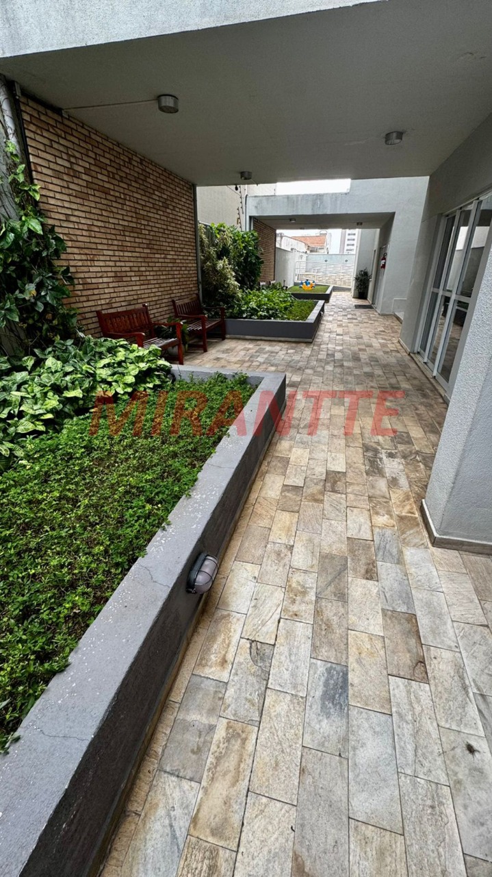 Apartamento de 139.6m² com 3 quartos em Tucuruvi