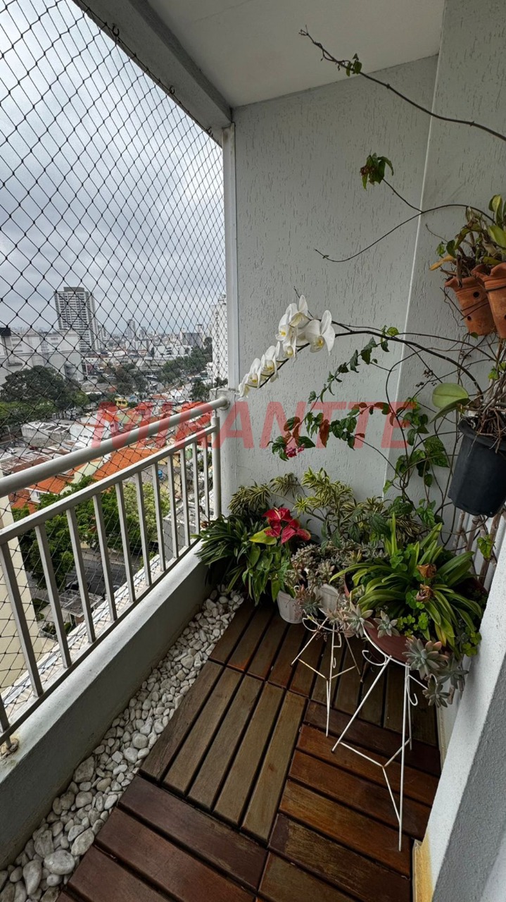 Apartamento de 139.6m² com 3 quartos em Tucuruvi