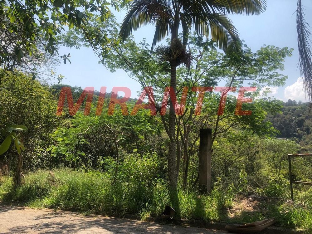 Terreno de 0m² em São Vicente