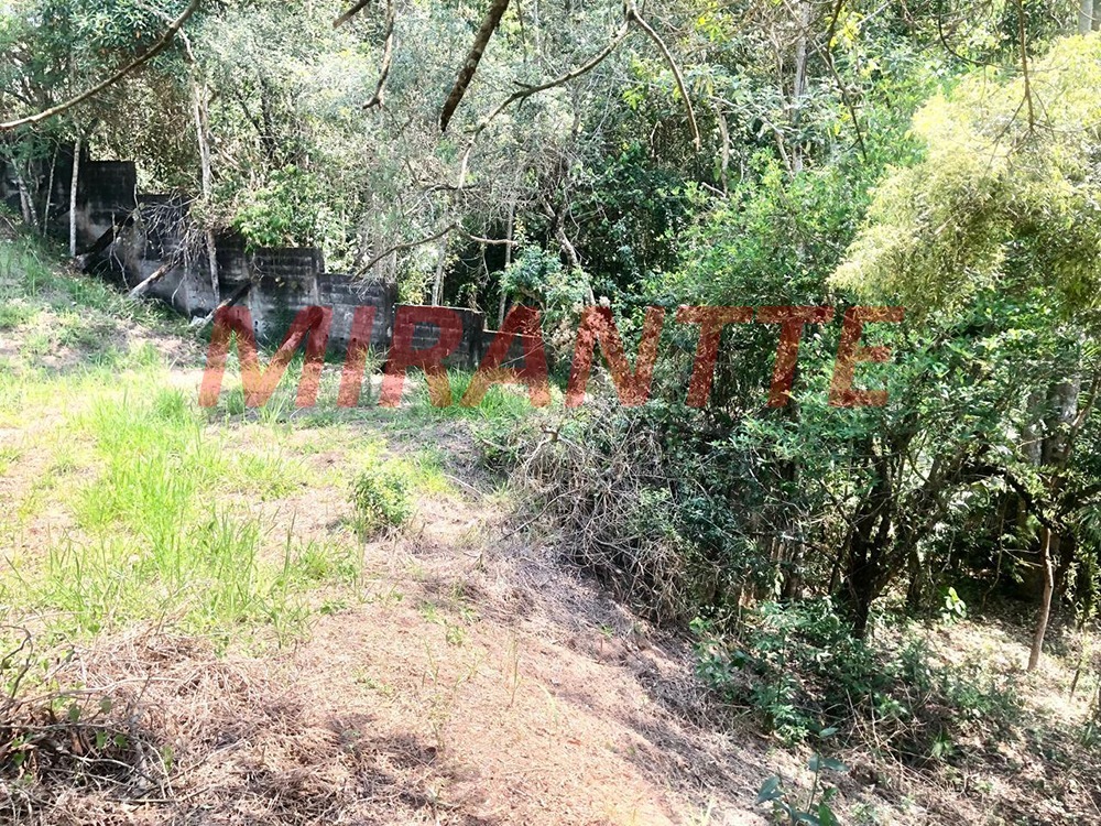 Terreno de 0m² em São Vicente