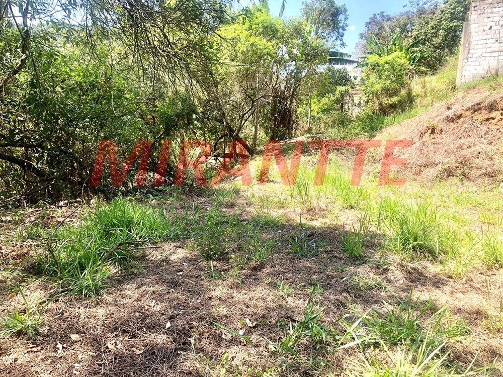 Terreno de 0m² em São Vicente