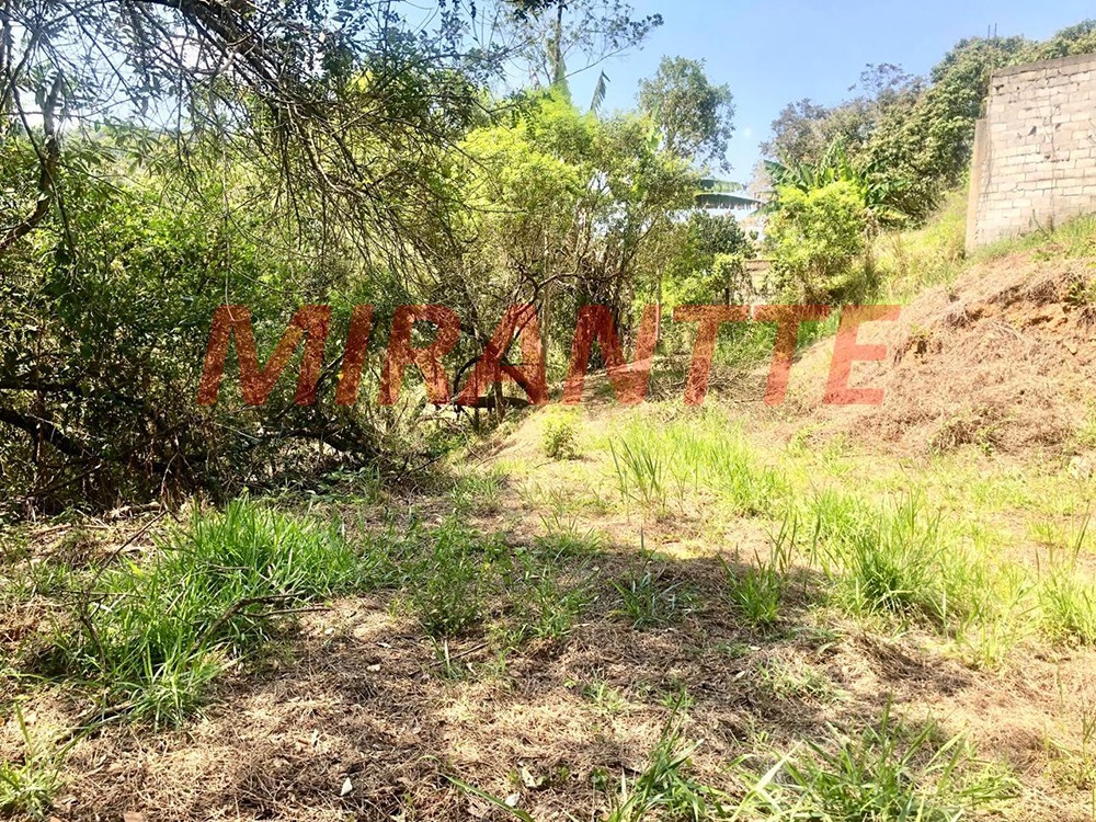 Terreno de 0m² em São Vicente
