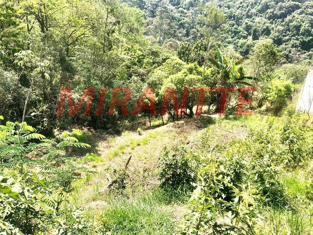 Terreno de 0m² em São Vicente