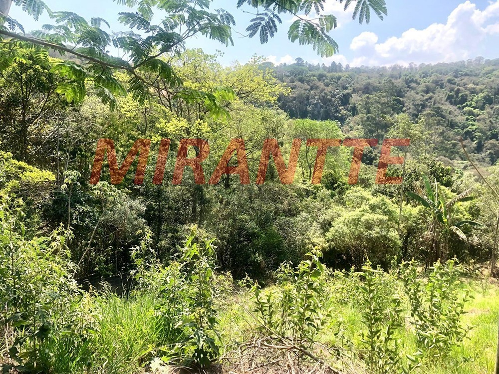 Terreno de 0m² em São Vicente