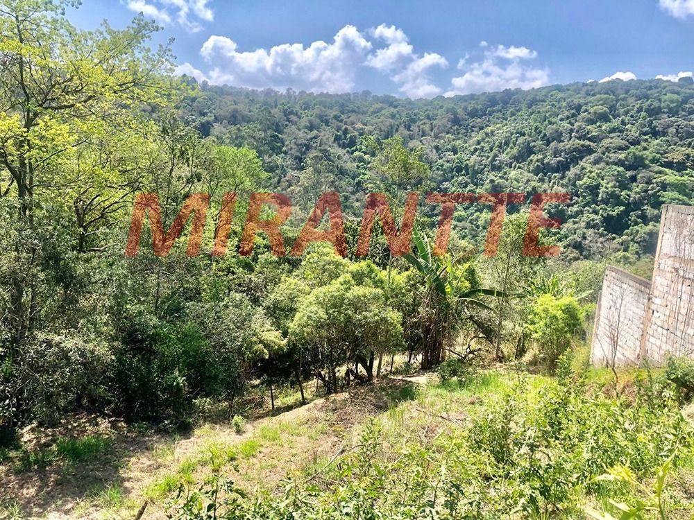 Terreno de 0m² em São Vicente
