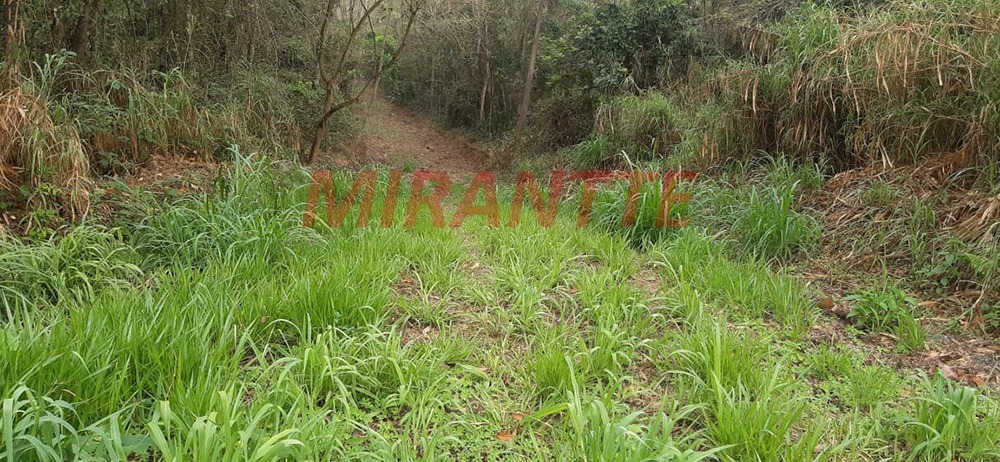Terreno de 0m² em sausalito