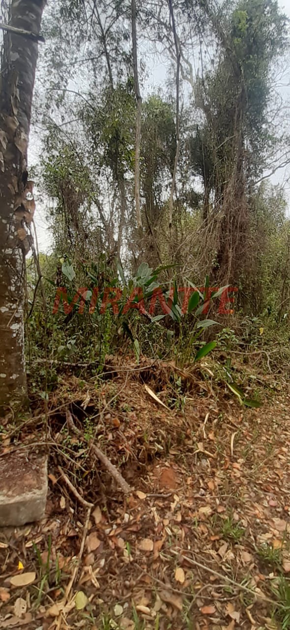 Terreno de 0m² em sausalito