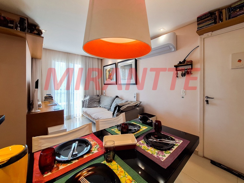 Apartamento de 49m² com 2 quartos em Vila Roque