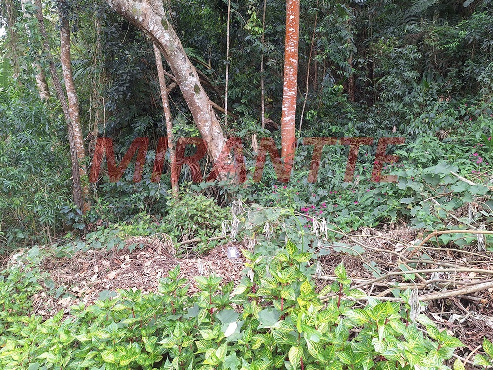 Terreno de 0m² em Caraguata