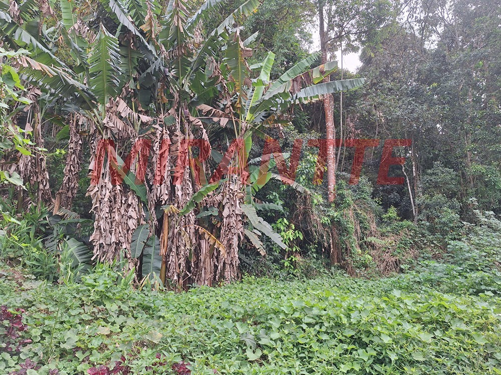 Terreno de 0m² em Caraguata