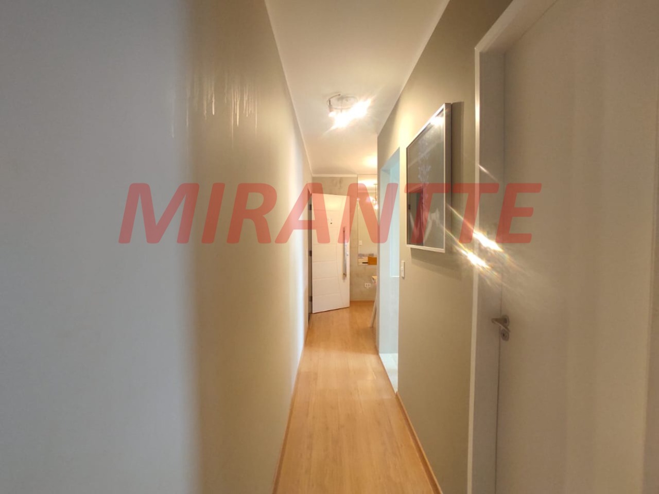 Apartamento de 53m² com 2 quartos em Vila Basileia